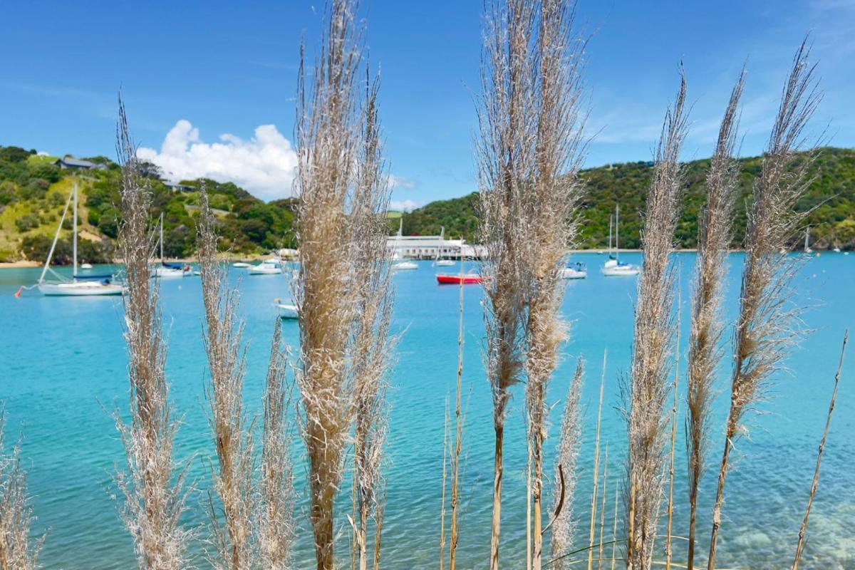 Waiheke Backpackers Hostel 欧尼坦基 外观 照片